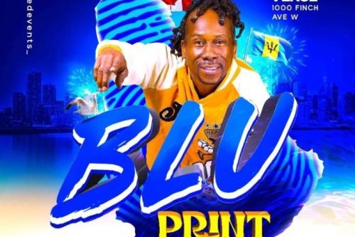 Blu Print