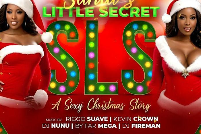 Santa's Little Secret SLS