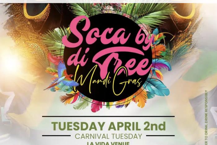 Soca By The Tree