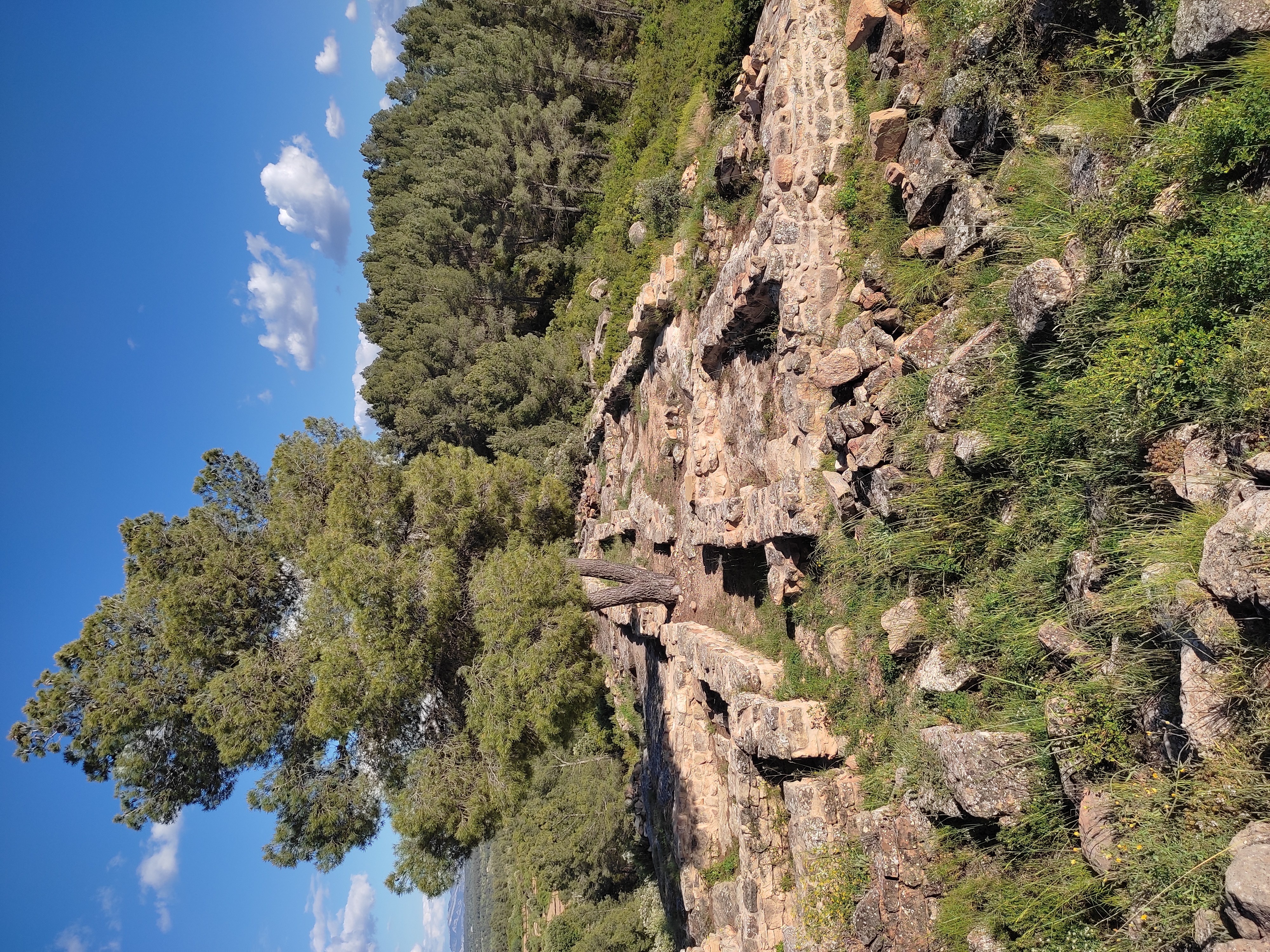Els Castellans
