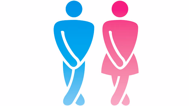 Imagen relacionada con La fisioterapia como aliada en las disfunciones femeninas