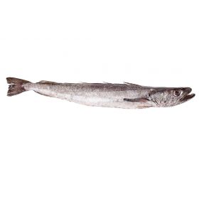 MERLUZA DEL NORTE 1-1,5 KG