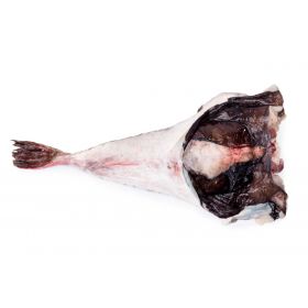 BLACK MONKFISH TAIL 2-3 KG