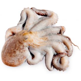 GALICIAN OCTOPUS