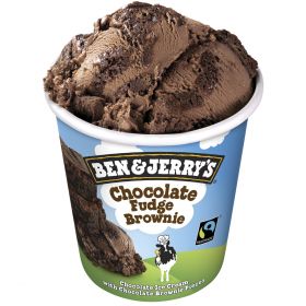 TERRINA BEN & JERRY'S "CHOCOLATE FUDGE BROWNIE" 465ML