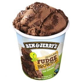 BEN & JERRY'S "CHOCOLATE FUDGE BROWNIE NON-DAIRY VEGAN" ICE CREAM TUB 465 ML