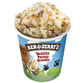 TARRINA BEN&JERRY'S "VAINILLA PECAN BLONDIE" 465ML