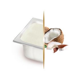 CARTE D'OR COCONUT ICE CREAM 2,4L