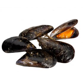 GALICIAN MUSSELS