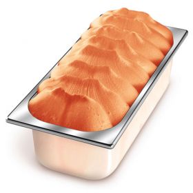 CARTE D'OR GELAT DE SORBET DE MANDARINA 5,5 L