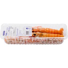 SCAMPI MINI CASE