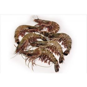 LANGOSTINO BLACK TIGER 20-30 PIEZAS