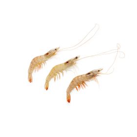 VANNAMEI PRAWN 30-40 PIECES