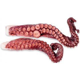 PATA DE PULPO 350-450 G