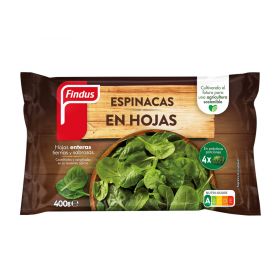 HOJA DE ESPINACA