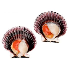 PACIFIC SCALLOPS 1/2 SHELL 30-40 PIECES