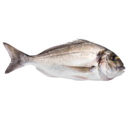 DORADA DE COSTA 1-2 KG