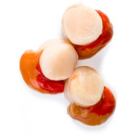 ROE-ON PERUVIAN SCALLOP MEAT