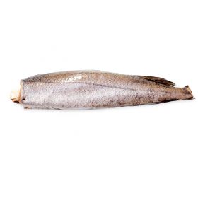 ARGENTINE HAKE NO. 3 800-1200 G