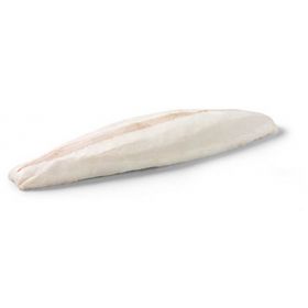 OILFISH FILLETS