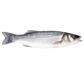 FARMED SEA BASS 3-4 KG