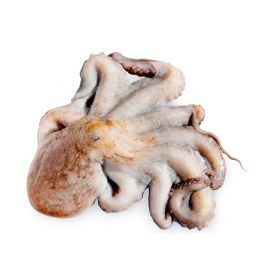 POULTRY OCTOPUS