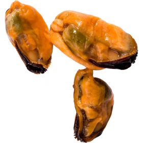 COOKED SMALL MUSSEL MEAT 8KG BULK