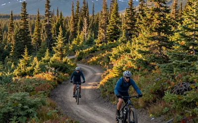Chasing the Moose: Anchorage's