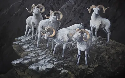 Robert Bundy Premier Art Show