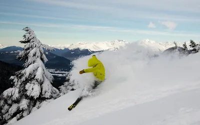 Visit Mendenhall Glacier
