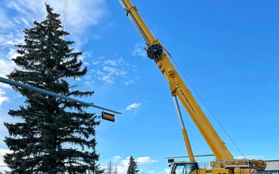 Annual Main Street Christmas Tree Installation
