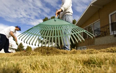 City’s yard waste sites reopen