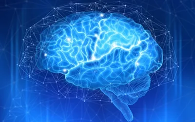 The Stressed Brain: Lessons from Earth and Space