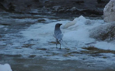 Industry Insights: Community Networking Event