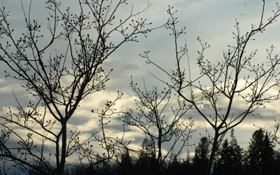 Launchpad - Designing a Tourable Show on a Budget