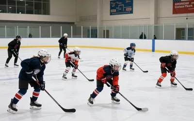 Sticks and Pucks