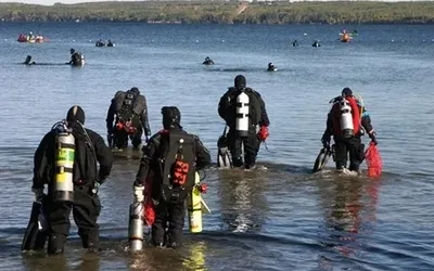 Sylvan Lake Annual Shoreline Cleanup