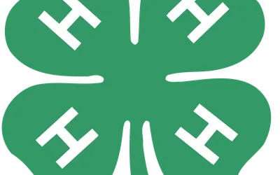 4-H Club Meeting