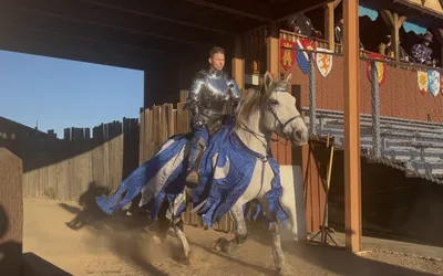 Arizona Renaissance Fair