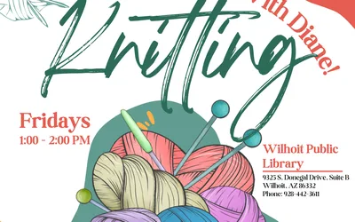 Knitting with Diane!