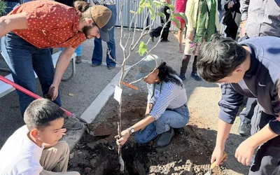 Sprouts House Garden Open House