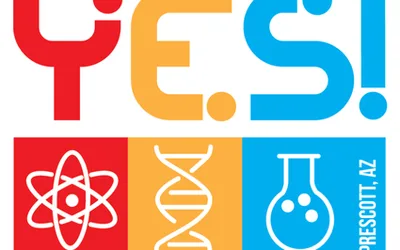STEAM Lab: Energy & Forces-Catapult Physics