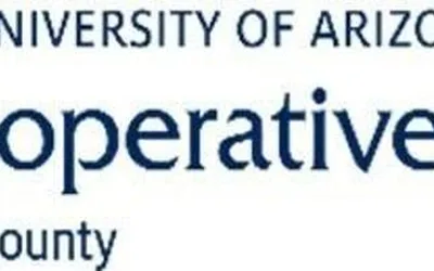 Tree Care and Maintenance