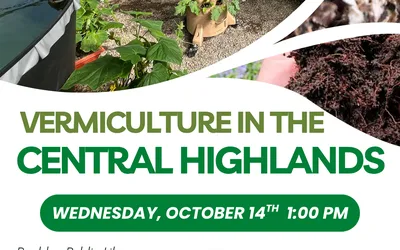 Vermiculture in the Central Highlands