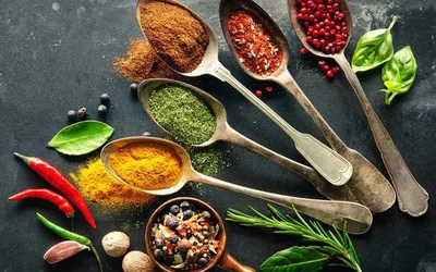 SPICE Club!