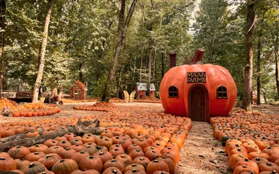 A Harvest of Tradition