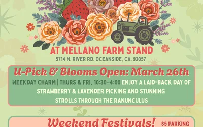 Berries & Blooms Season