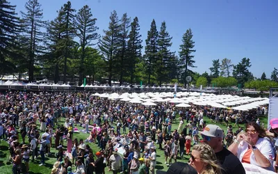 BottleRock Festival 2026