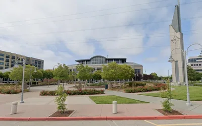 Foster City Duck Hunt