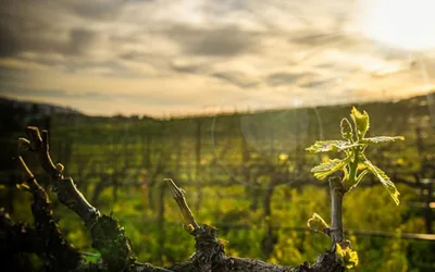 Inspirational Sunrise Service